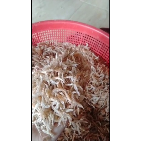 

REBON UDANG KUALITAS PREMIUM NO. 1