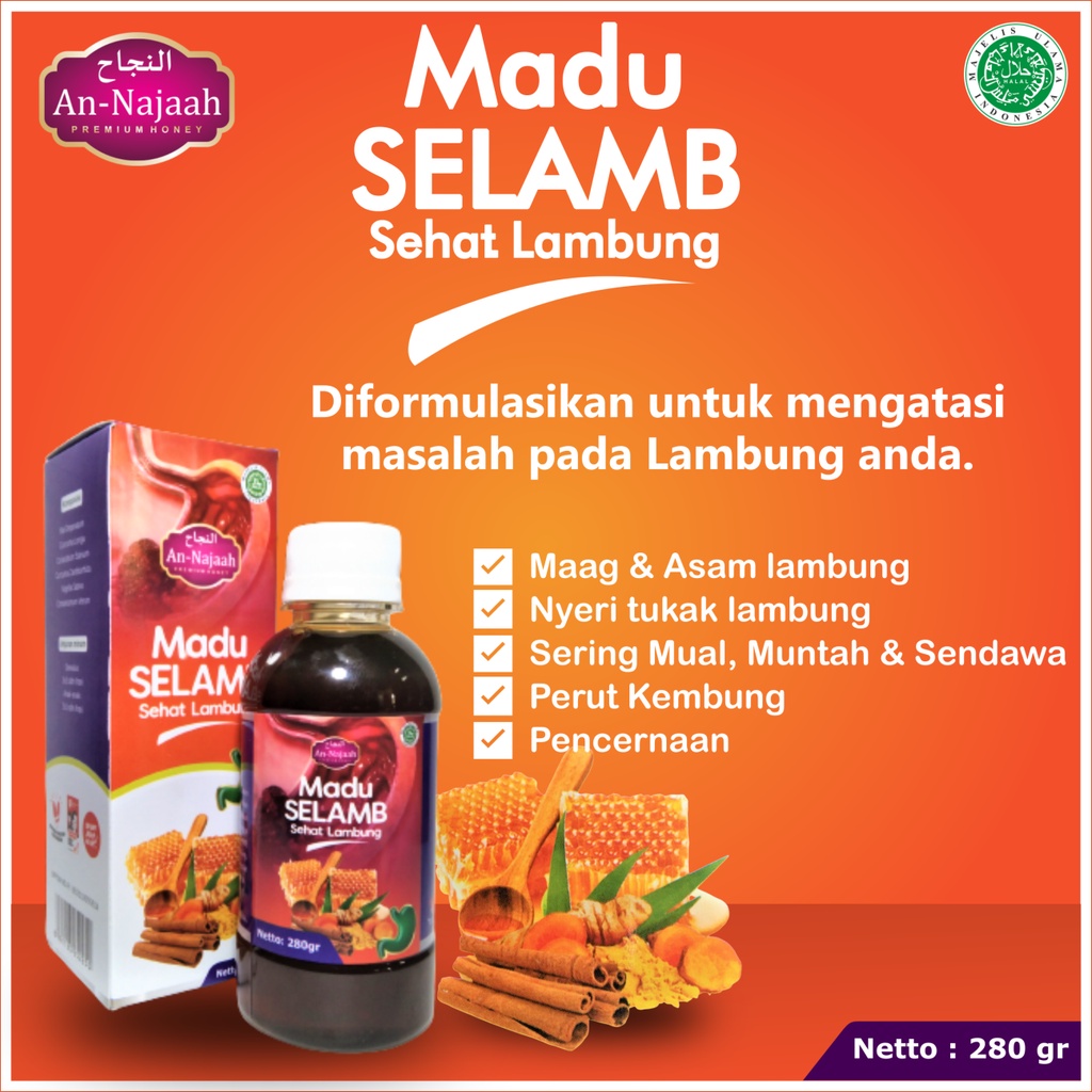 Madu Lambung Sehat | Sehat Lambung 280 gr