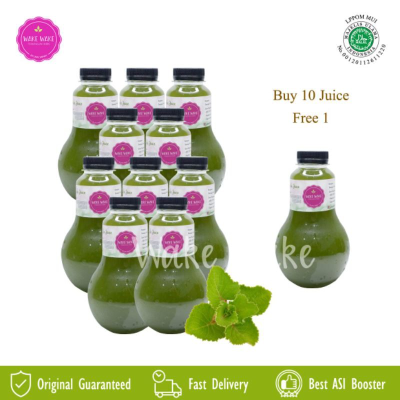 ASI Booster Torbangun - Wake Wake Juice Moringa ( Kelor ) - Botol 330 ML