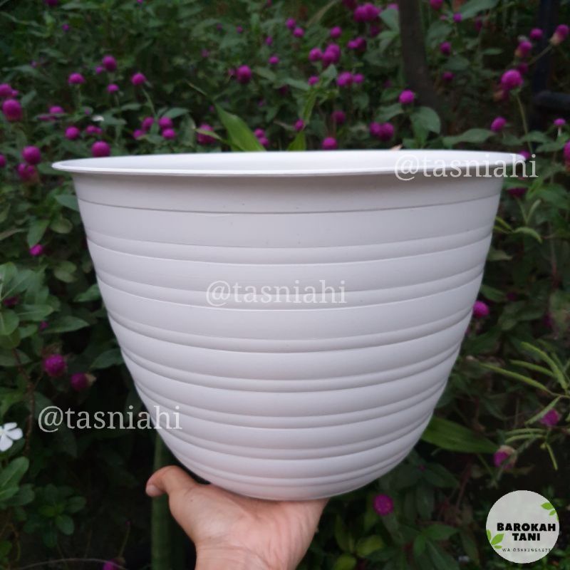 Pot Tawon Putih Jumbo Diameter 30 cm - Pot Bunga Tawon 30 JM Besar Jumbo