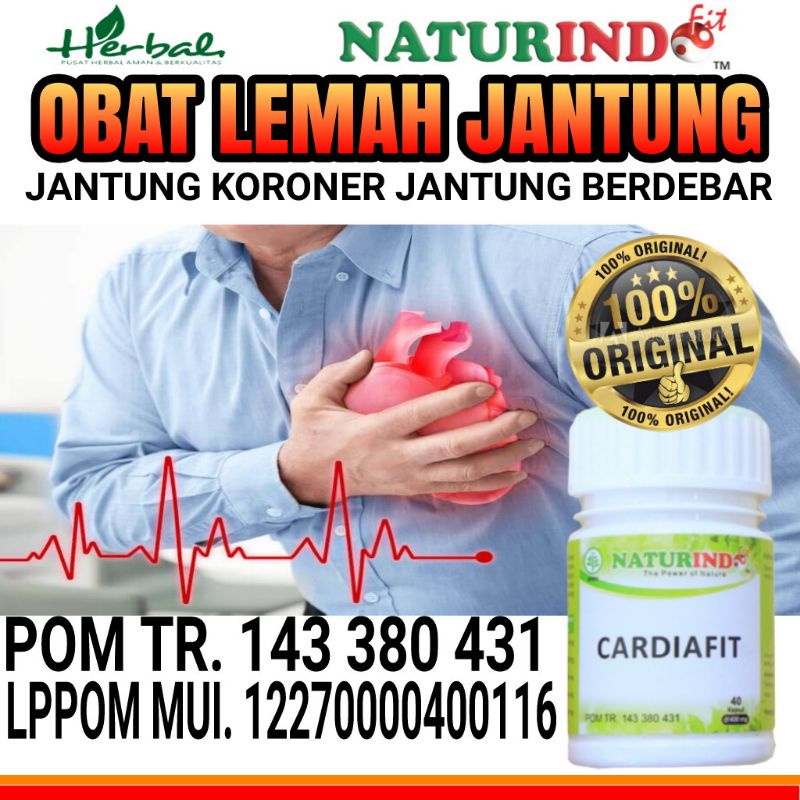 Obat Herbal Lemah Jantung Ampuh Jantung Berdebar Jantung Bengkak Jantungan Ampuh