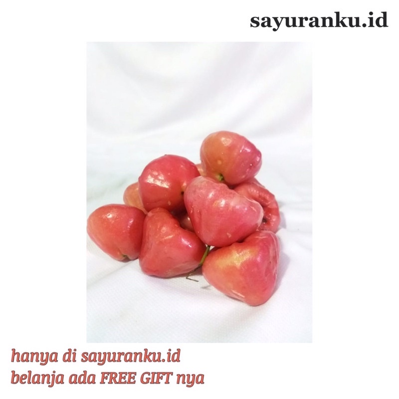 

jambu air/ jambu kancing/ jambu rujak fresh murah 1 kg