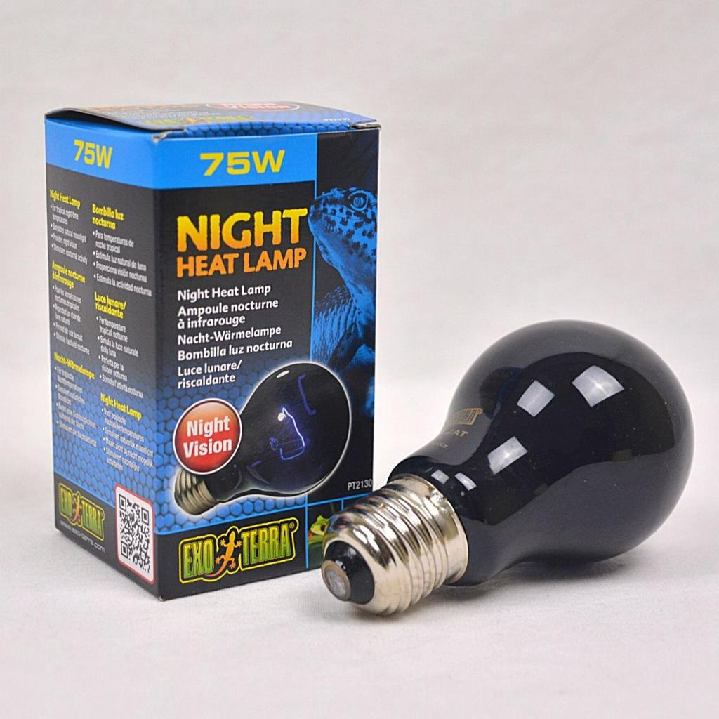 EXOTERRA Lampu Reptil Night Glo Moonlight Round 75W
