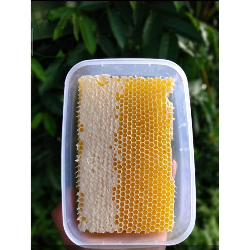 

MADU SARANG SUMBAWA