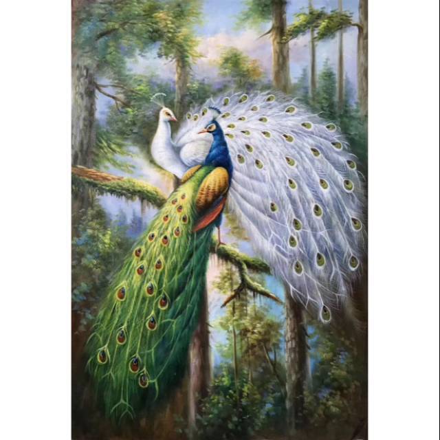 1070+ Gambar Burung Merak Poster Gratis Terbaik