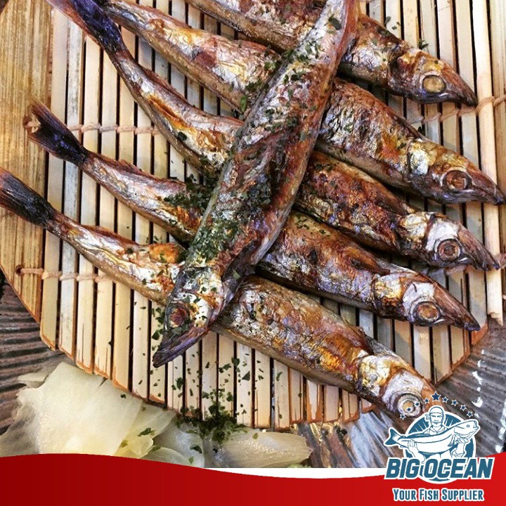 

Ikan Shisamo jepang - Capelin ikan telor | Premium Quality