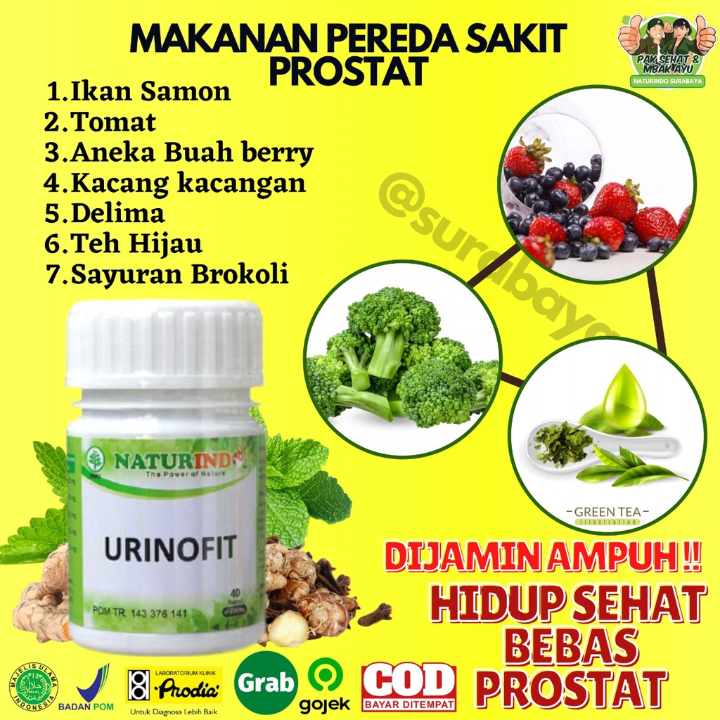 Obat Herbal Sulit Kencing Sakit Prostat Infeksi Saluran Kencing Anyang Anyangen Atasi Batu Ginjal Saluran Kemih Obat Kencing Batu kencing sakit Obat Gagal Ginjal Bocor Bengak Kencing Berbuih Berbusa Batu Spesialis Ginjal URINOFIT NATURINDO SURABAYA-6