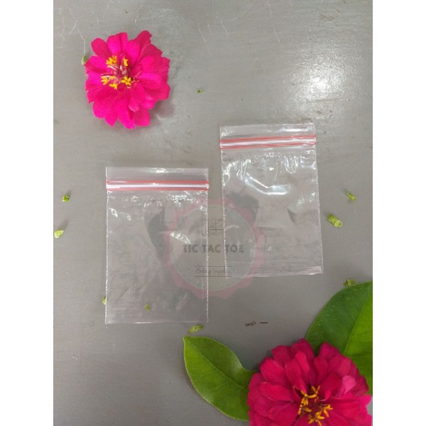 Plastik Clip Katup 5x8 cm (100pcs)