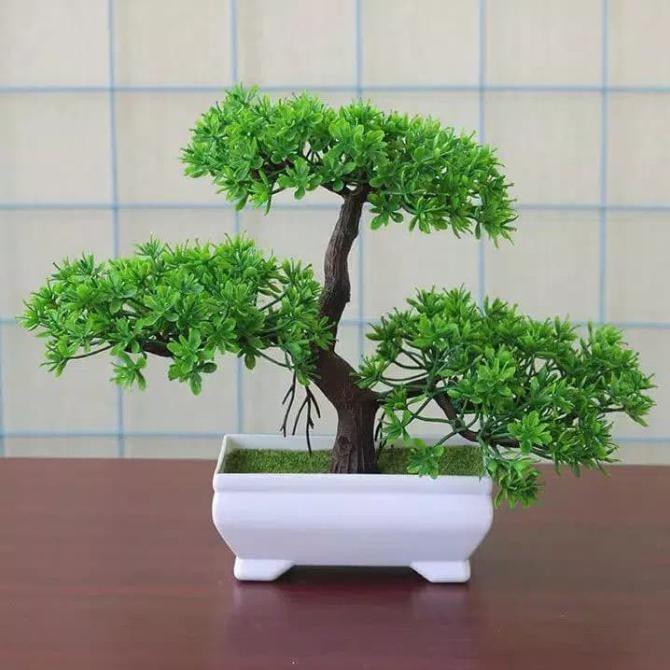 ornamen tanaman hias bonsai beringin / pohon plastik artificial - Beringin Hijau