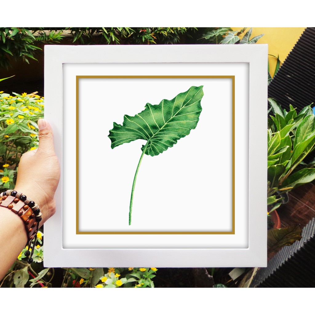 Walldecor Hiasan Rumah Murah Gambar Daun Talas A Shopee Indonesia