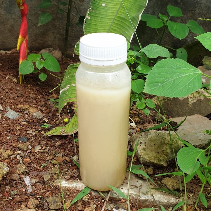 

Madu Kelanceng Putih Super 300g