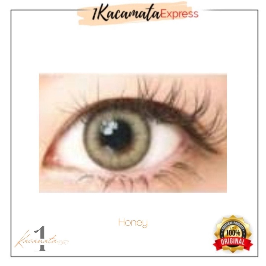 SOFTLENS WARNA NORMAL LOOK NATURAL LUNA