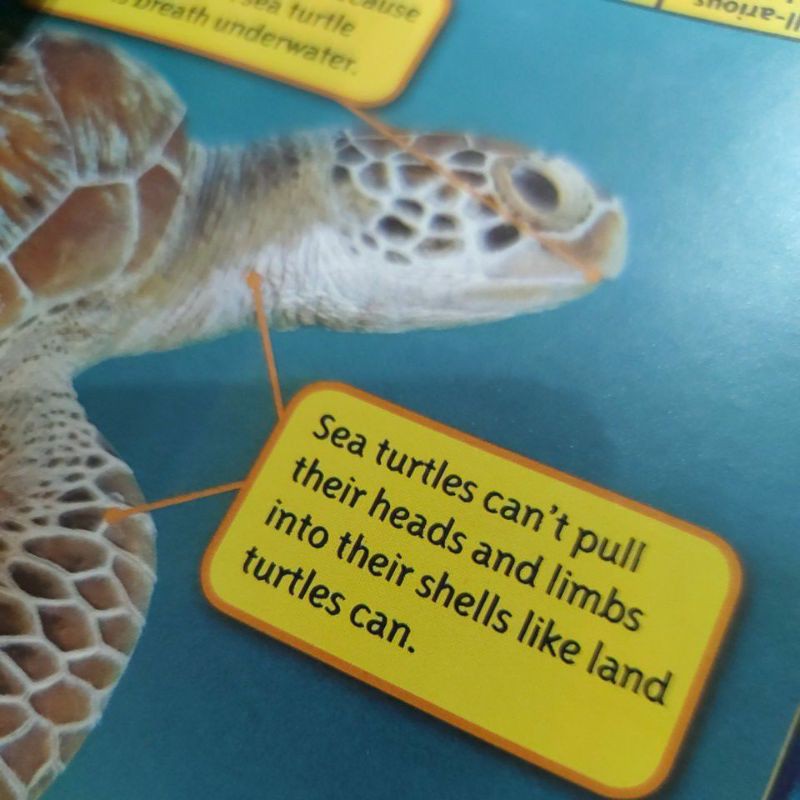 37 books National Geographic Level 2   Kids Geography buku import buku anak buku bacaan happychild