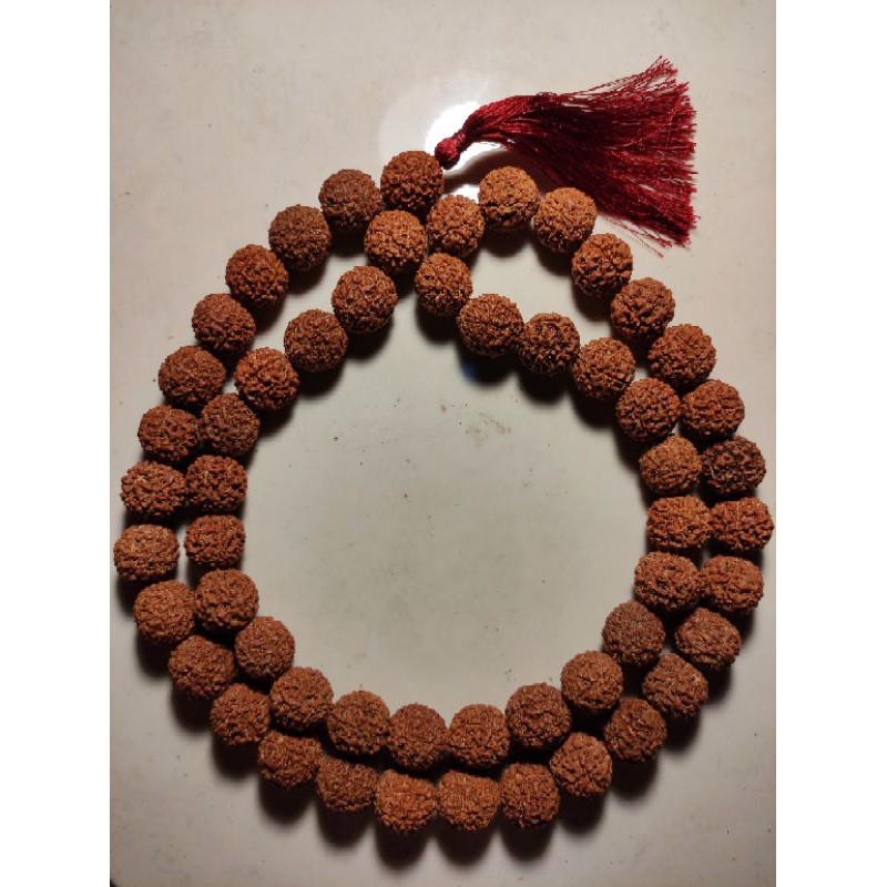 JENITRI TASBIH RUDRAKSHA 54 BUTIR BESAR JUMBO TASBEH