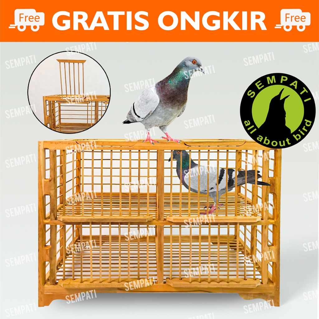 Jual Kandang Merpati Harga Terbaik Januari 2022 Shopee Indonesia