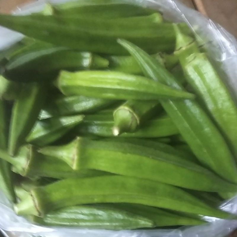 

Sayur Okra hijau