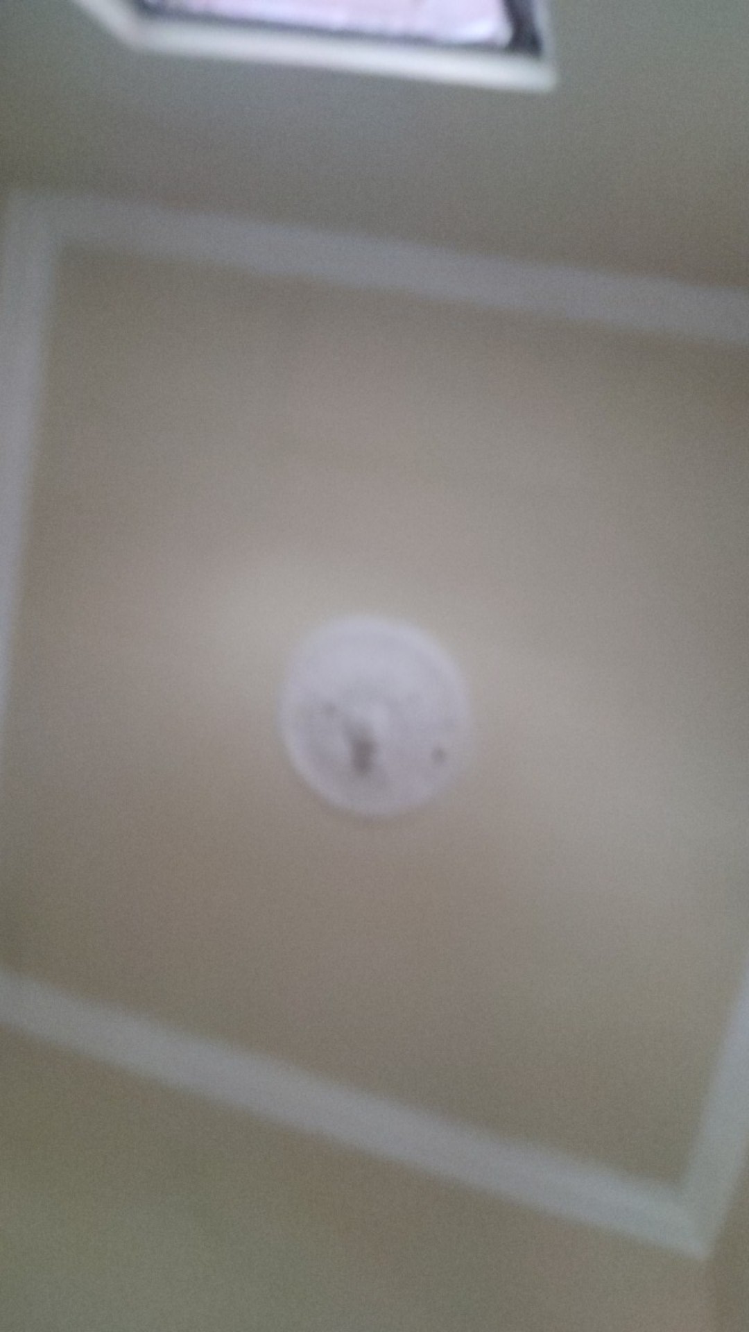 Thinwall Food Container 1000ml Warna / Kotak Makan Bening / Mangkok Plastik / Mangkok Bening