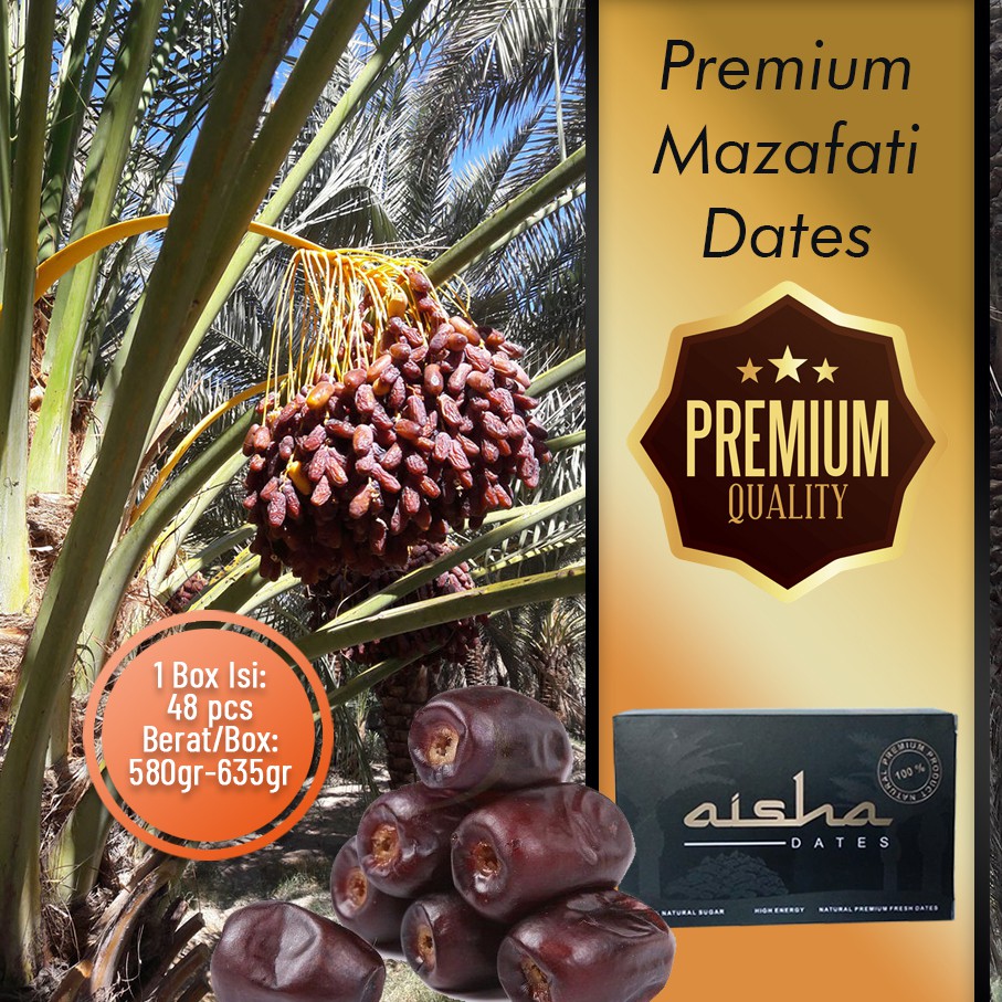 

Kurma Azwa Segar - Kurma Sukari Import Iran | Kurma Ruthob Aisha Dates