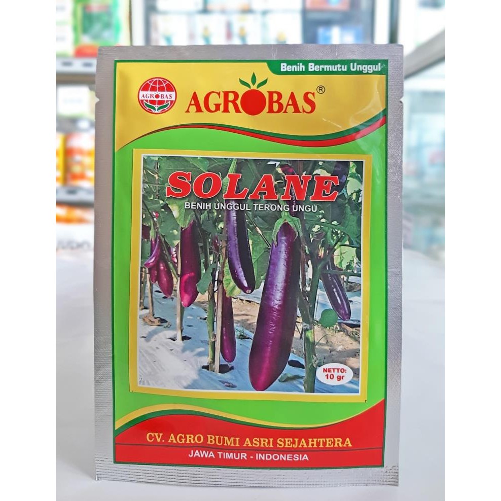 Bibit Benih Unggul Terong Ungu SOLANE 10 gram Agrobas