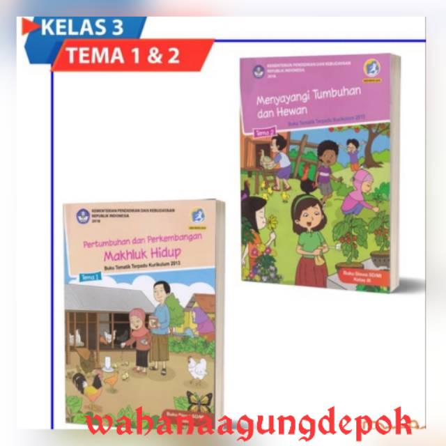 Buku siswa tematik terpadu k13 dikbud kelas 3 tema 1 dan 2 semester 1 edisi terbaru