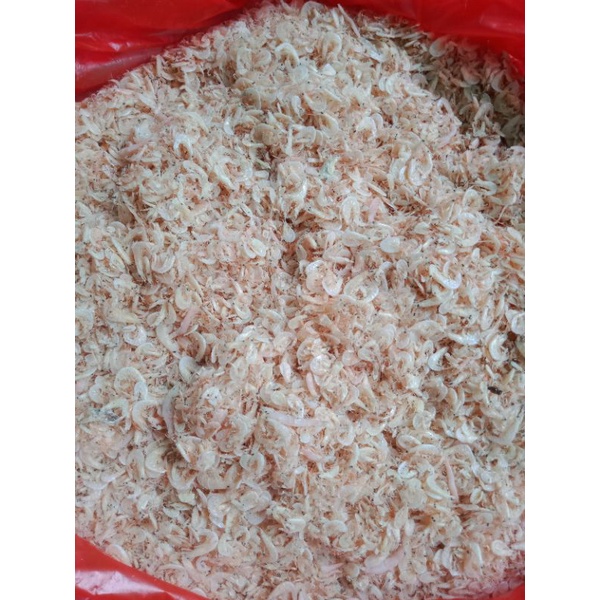 

ikan asin rebon