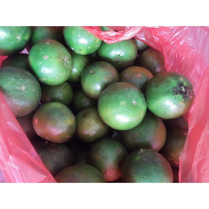 

JERUK PERAS FRESH
