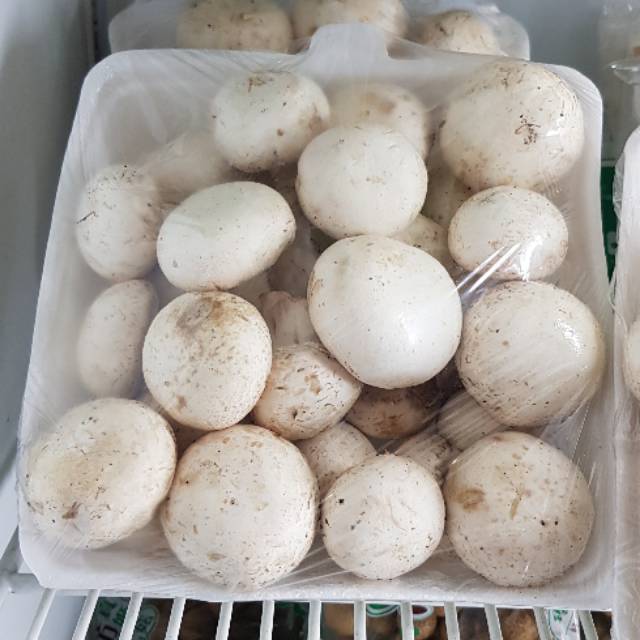 

Jamur kancing