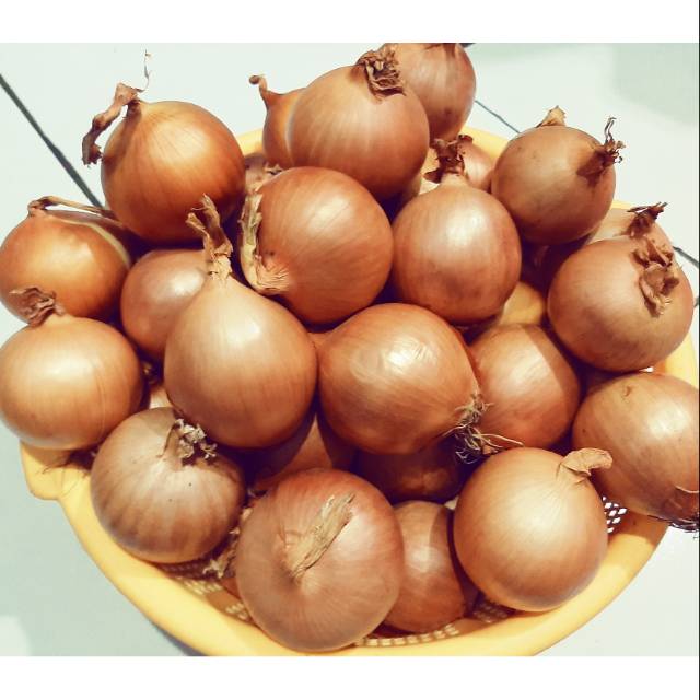 

Bawang Bombay 1000 gr