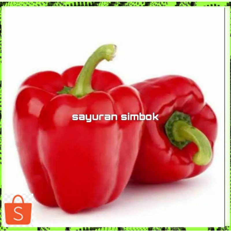 

Paprika merah segar perbuah