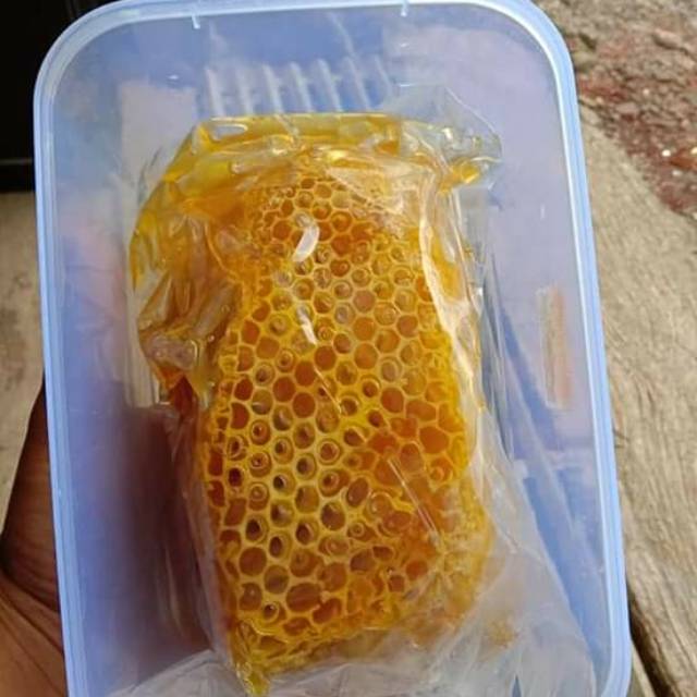 

Madu murni (Hasil ternak) tanpa campuran harga bersahabat