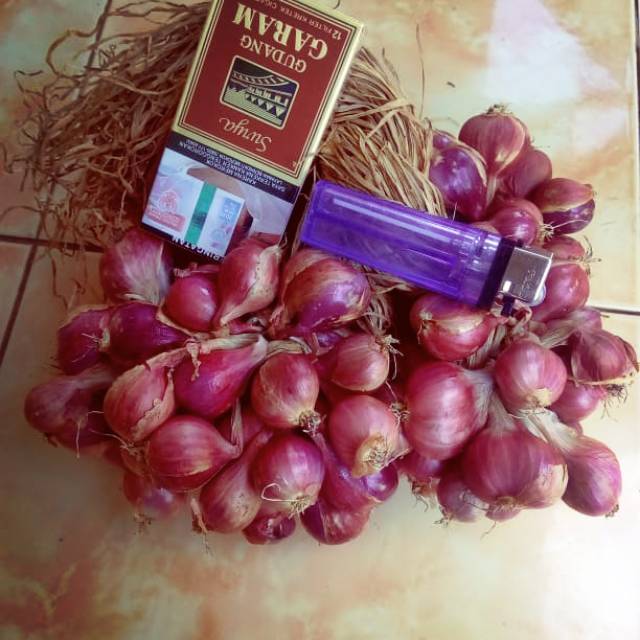

Bawang merah tanggung besar 1 kg