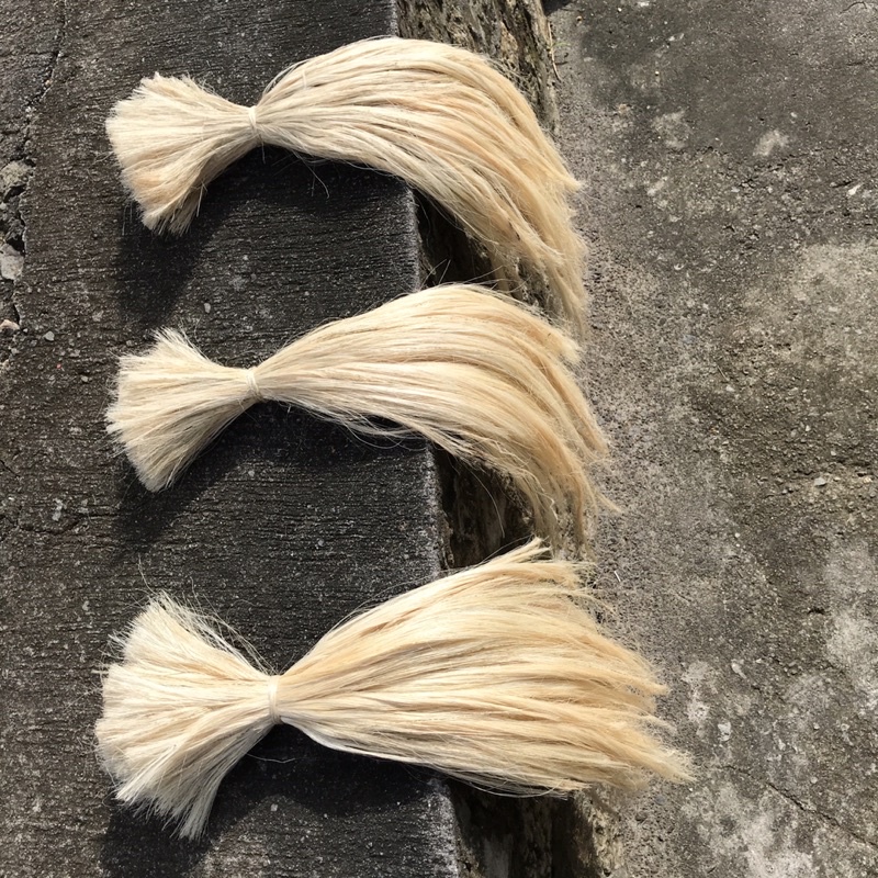 Pasti_Ada_Sayang Serat Sisal / Serat Sisalana Agave / Serat Nanas / Agave Sisalana 100% Natural