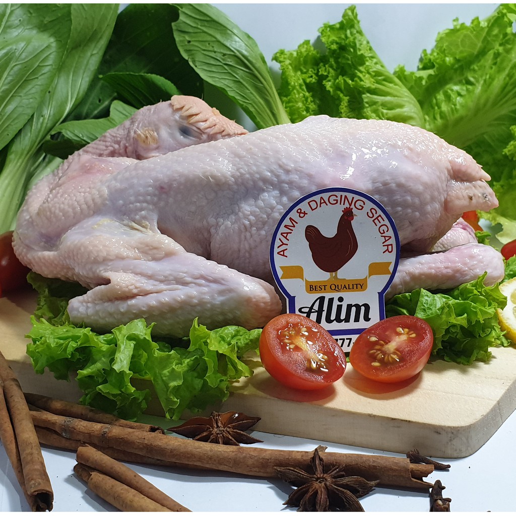 

54. Ayam Kampung Segar (Fresh Chicken Village) _ 500-600 gram