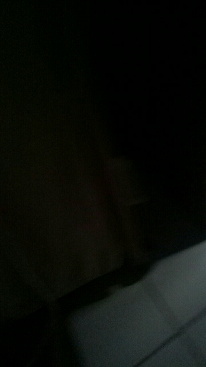 Tanaman Hias Lavender