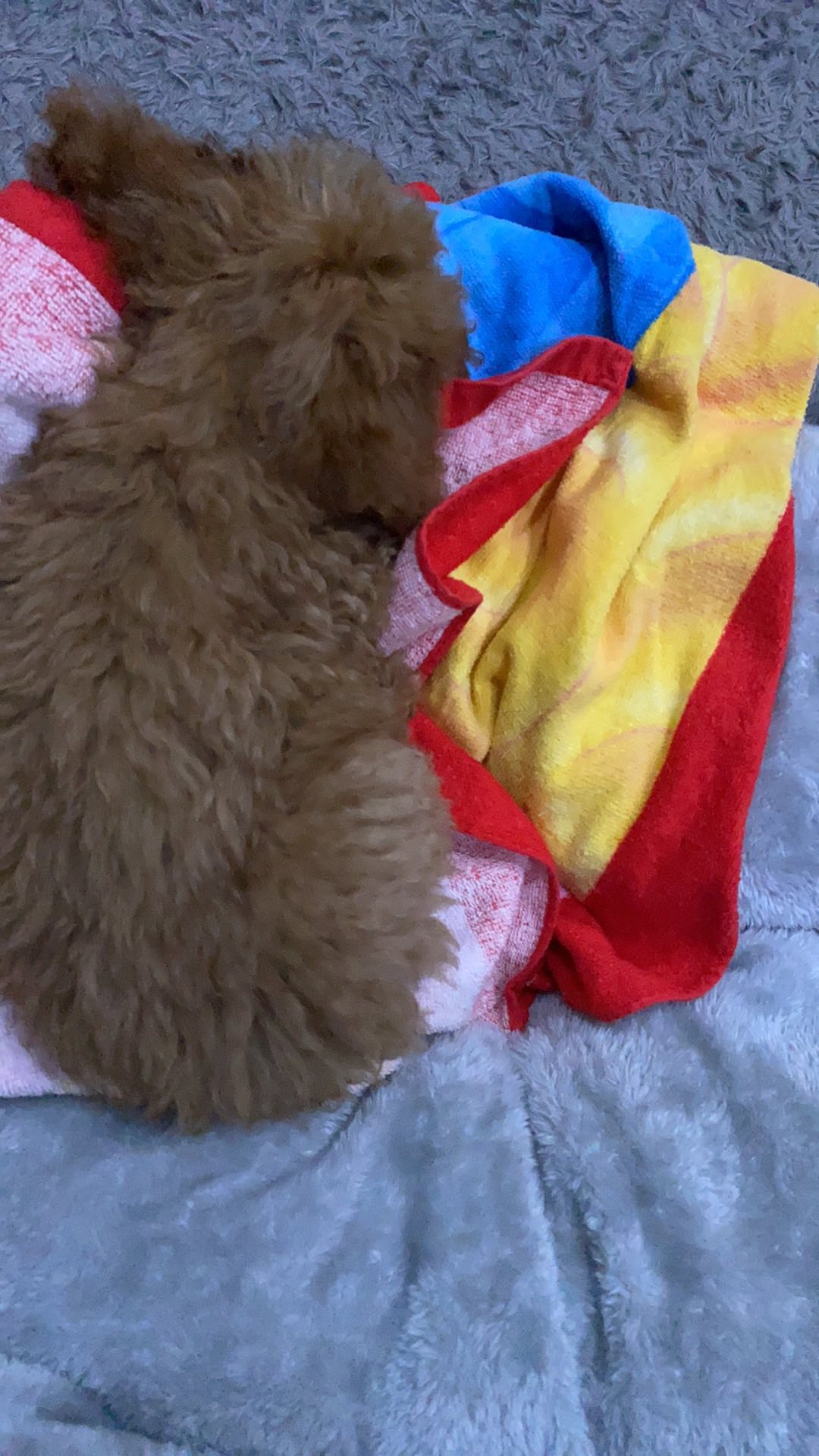 Bean Bag Komplit Isi Triangle / Oval Utk Dewasa Komplit Isi Bahan Waterproof Taslan Dan Katun