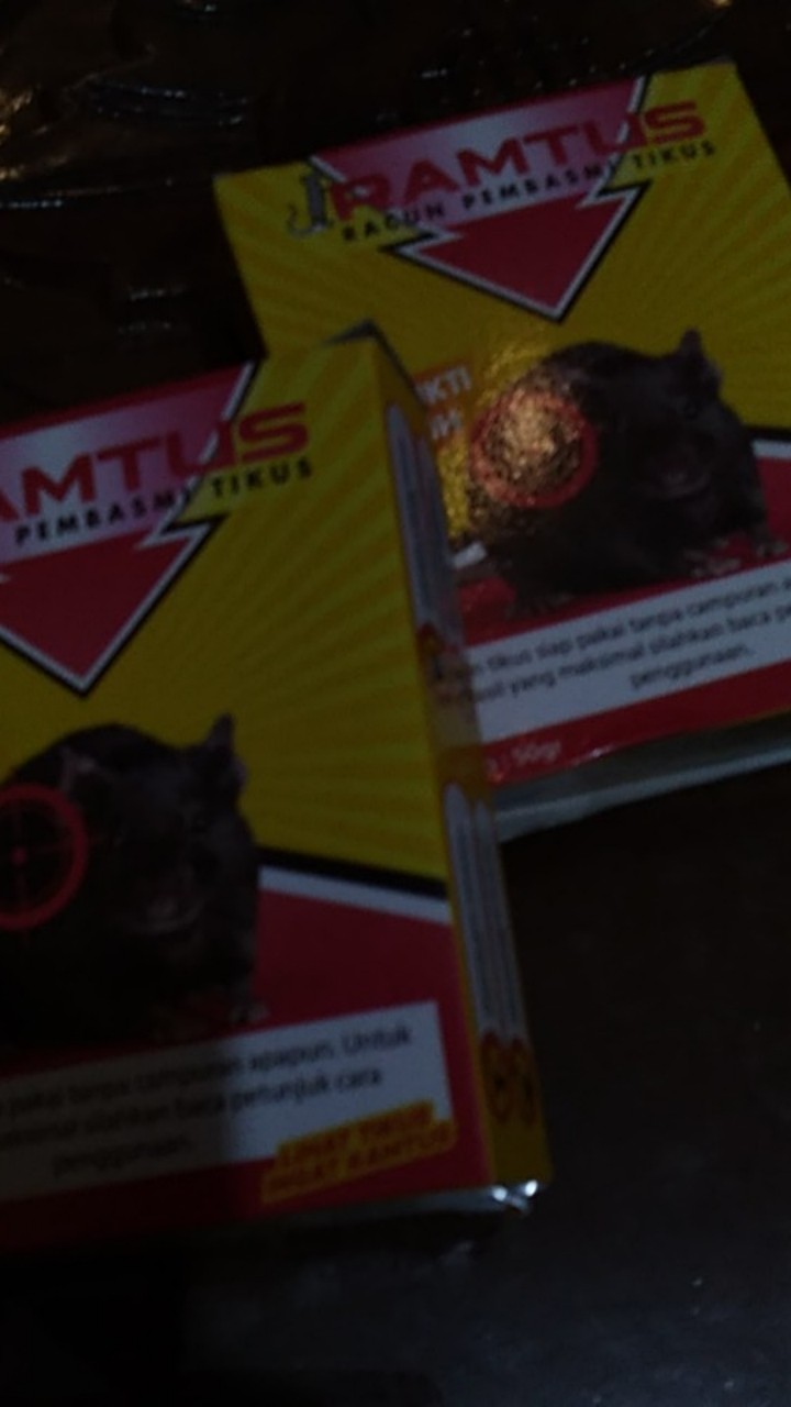 Racun Tikus Ramtus Asli Alami Mati Kering Tidak Bau Pembasmi Pengusir Tikus Super Paling Ampuh 2pack