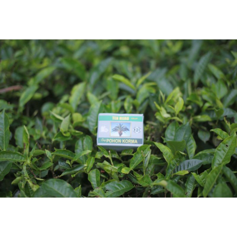 

Teh Hijau cap Pohon Kurma Celup