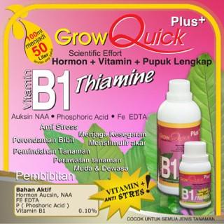 B1 Plus+, kemasan grow quick kemasan 500mL