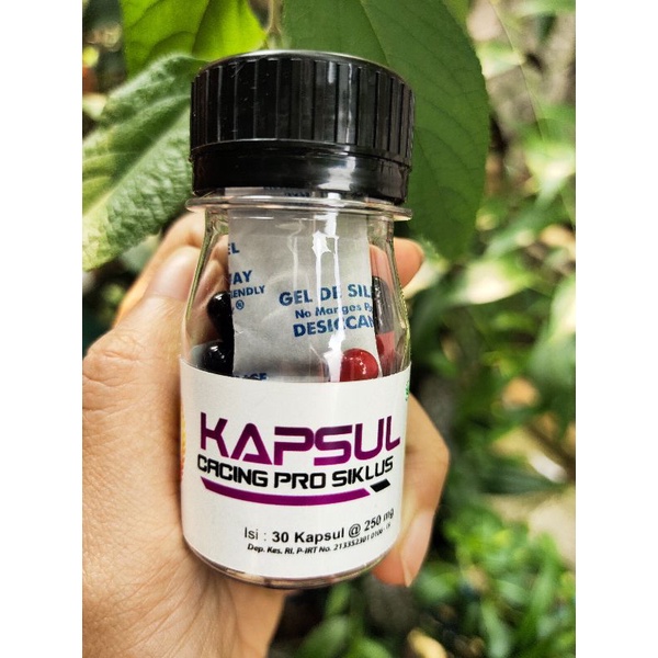 BIOSYAFA KAPSUL CACING PRO SIKLUS