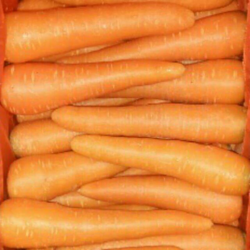 

Wortel impor segar 500gr