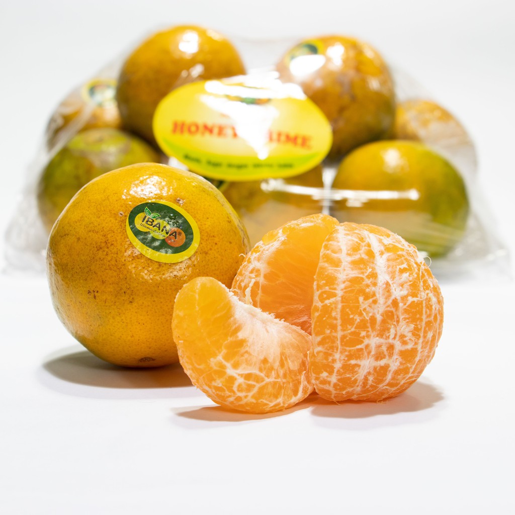 

Jeruk Honey Prime