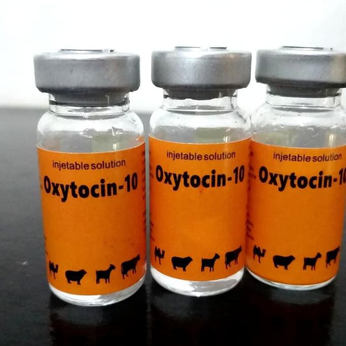 Terbaru Obat Melahirkan Hewan Oxytocin 10 Ml