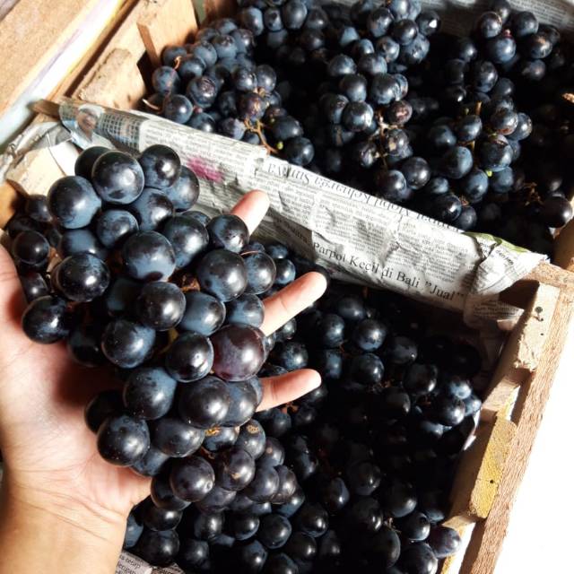 Anggur Bali 1 kg