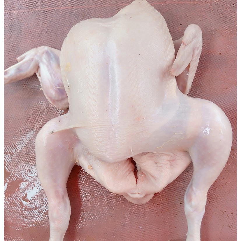

Daging Ayam Segar jenis TG - 1 Ekor
