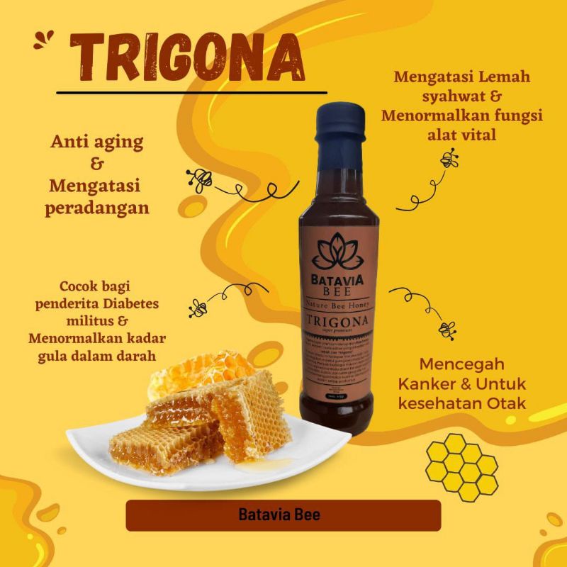 

madu trigona by batavia bee