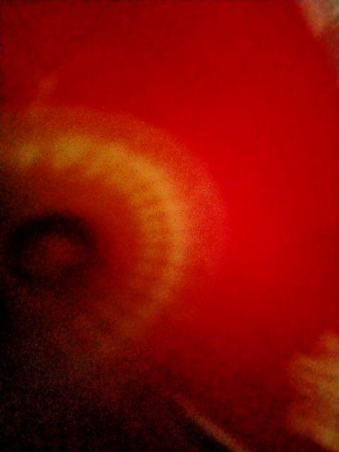 Batik Couple Keluarga Sania Ruffle Ori Ndoro Jowi Dnt Motif Manggar