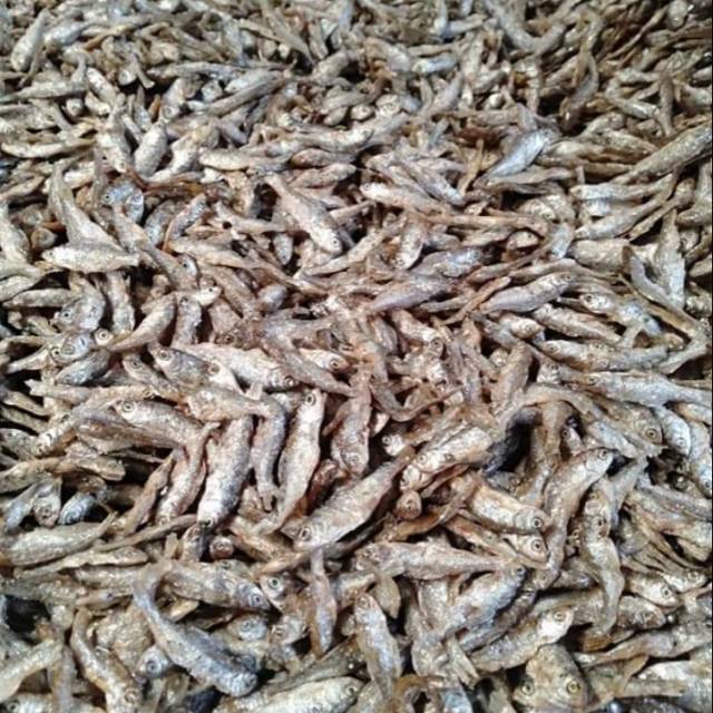 

Ikan bilis