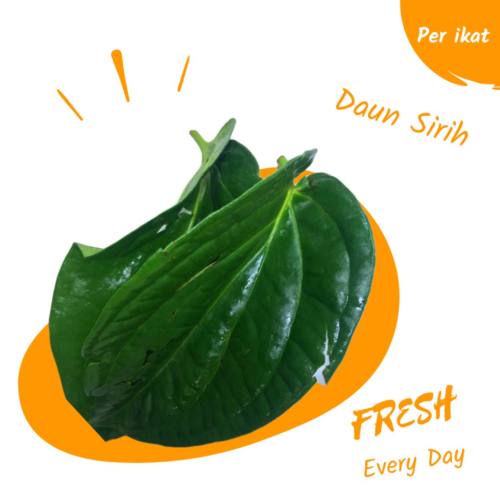 

Sayur Sayuran DAUN SIRIH FRESH PER IKAT Segar Murah Sayuran Online Makassar