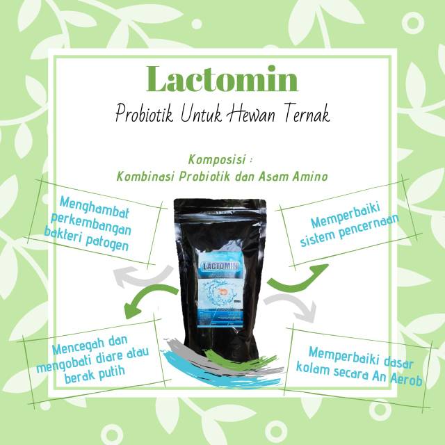 Lactomin1 Kg - Produk Probiotik Lactobacillus dan Asam Amino untuk budidaya Udang dan Ikan