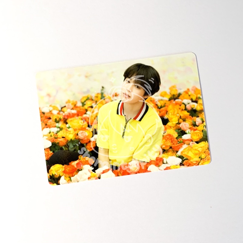 MPC Mini Photocard lys love yourself japan jimin BOOKED